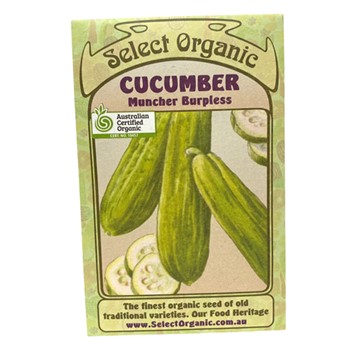 Cucumber Muncher Burpless Select Organic Seeds