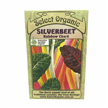 Silverbeet Rainbow Chard Select Organic Seeds