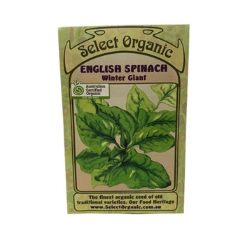 Spinach English Winter Giant Select Organic Seeds