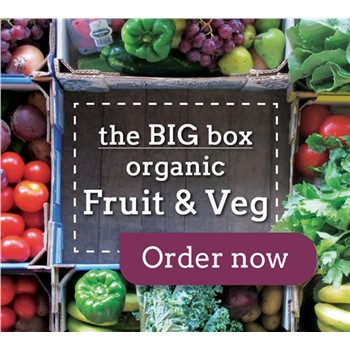 A BIG ORGANIC Fruit & Veg BOX  