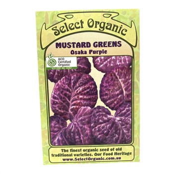 Mustard Greens Osaka Purple Select Organic Seeds